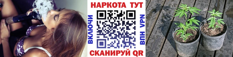 Наркотические вещества Шали Марихуана  OMG ТОР  Меф  КОКАИН 