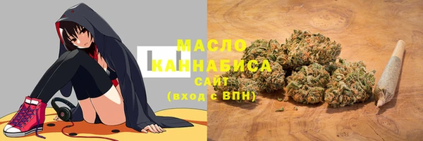 мет Надым